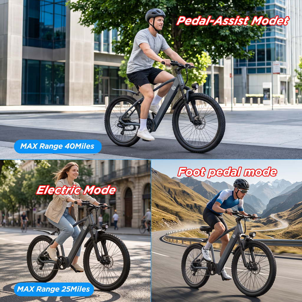 L24 Electric Bike 1000W 22Mph