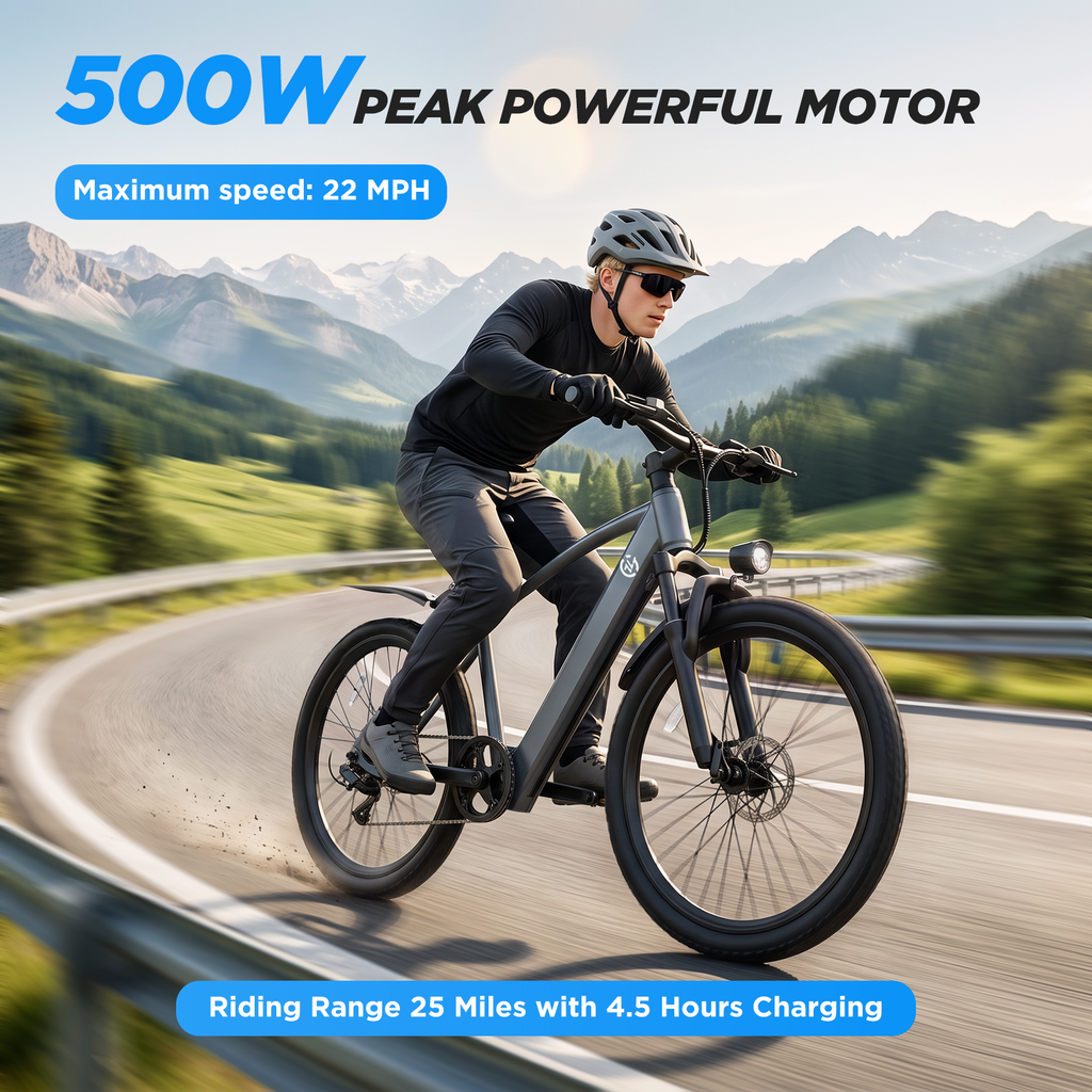 L24 Electric Bike 1000W 22Mph