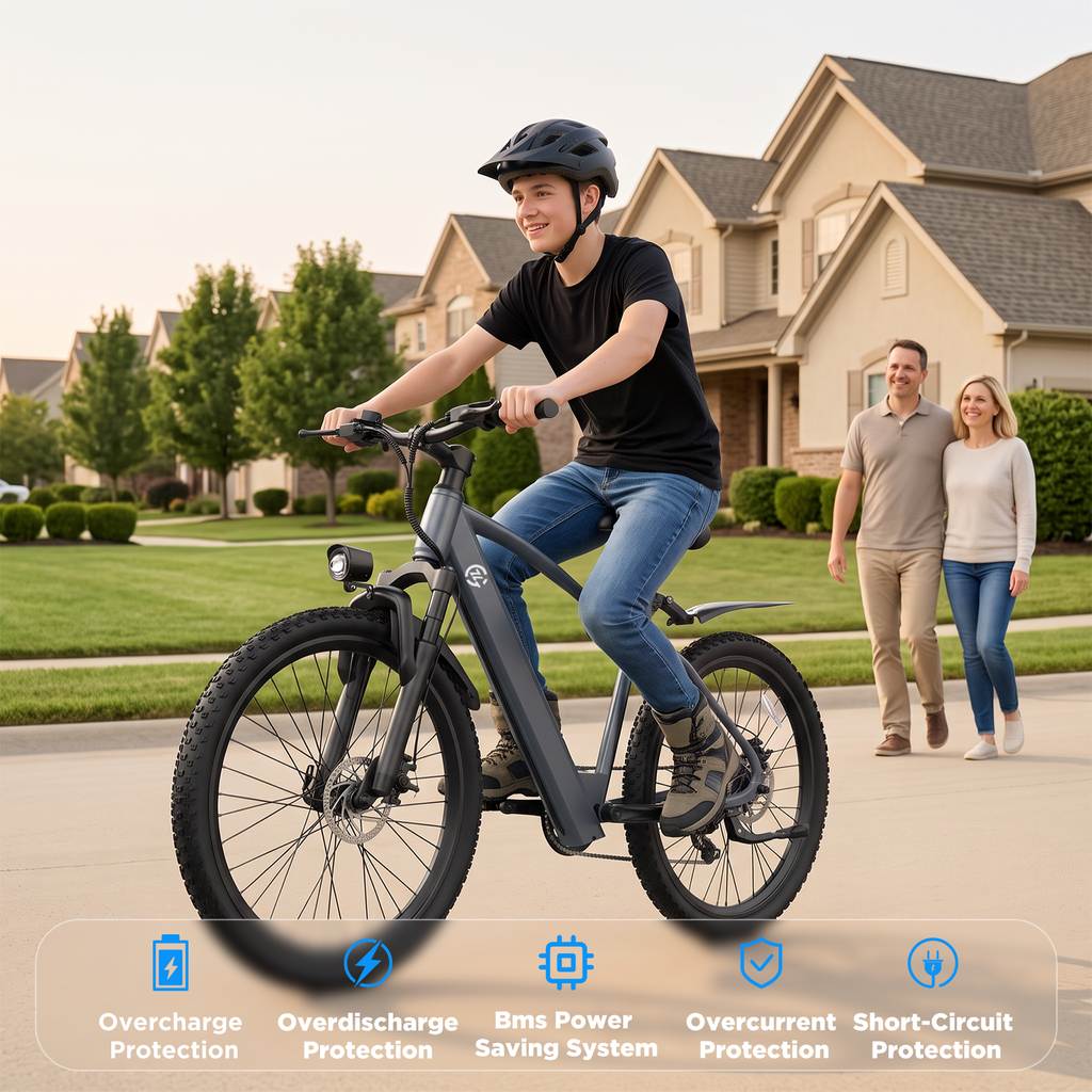 L24 Electric Bike 1000W 22Mph