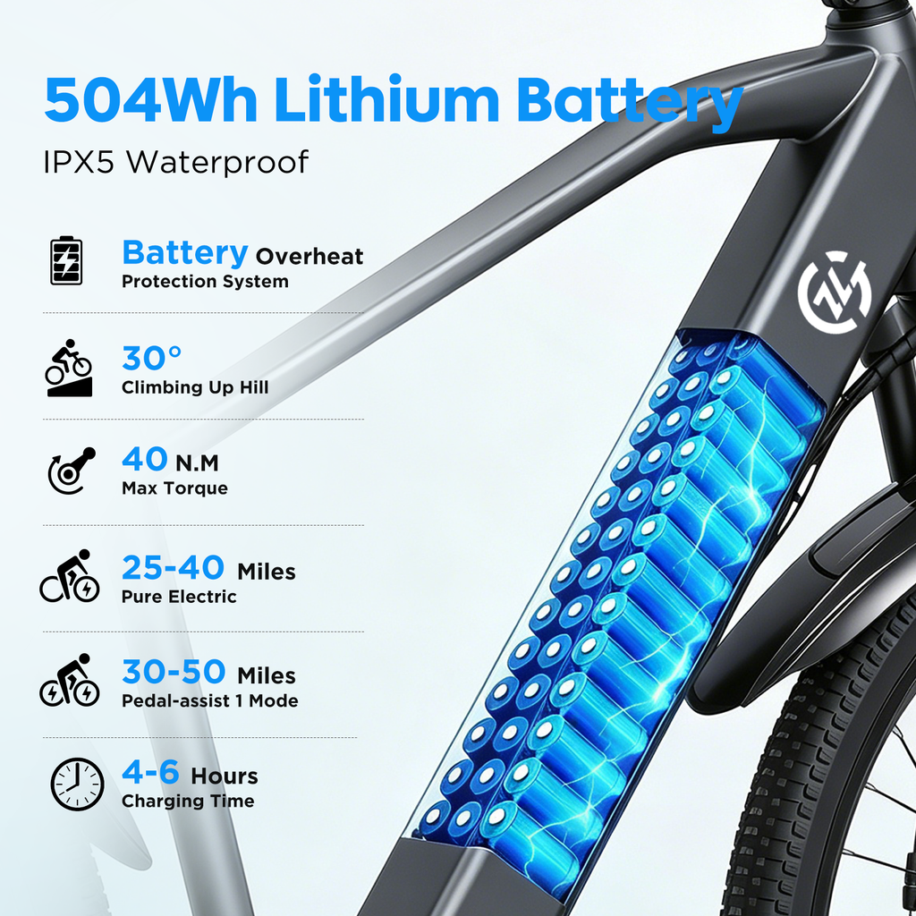 L24 Electric Bike 1000W 22Mph